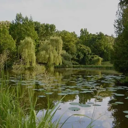 Eden Pihenohaz דירה *