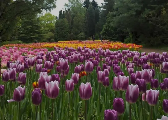 Eden Pihenohaz דירה *
